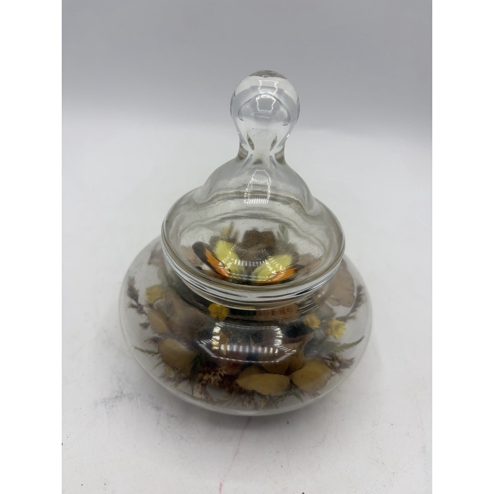Vintage Glass Dome Paperweight Dried Flowers Butterfly Display Art 5" Cloche